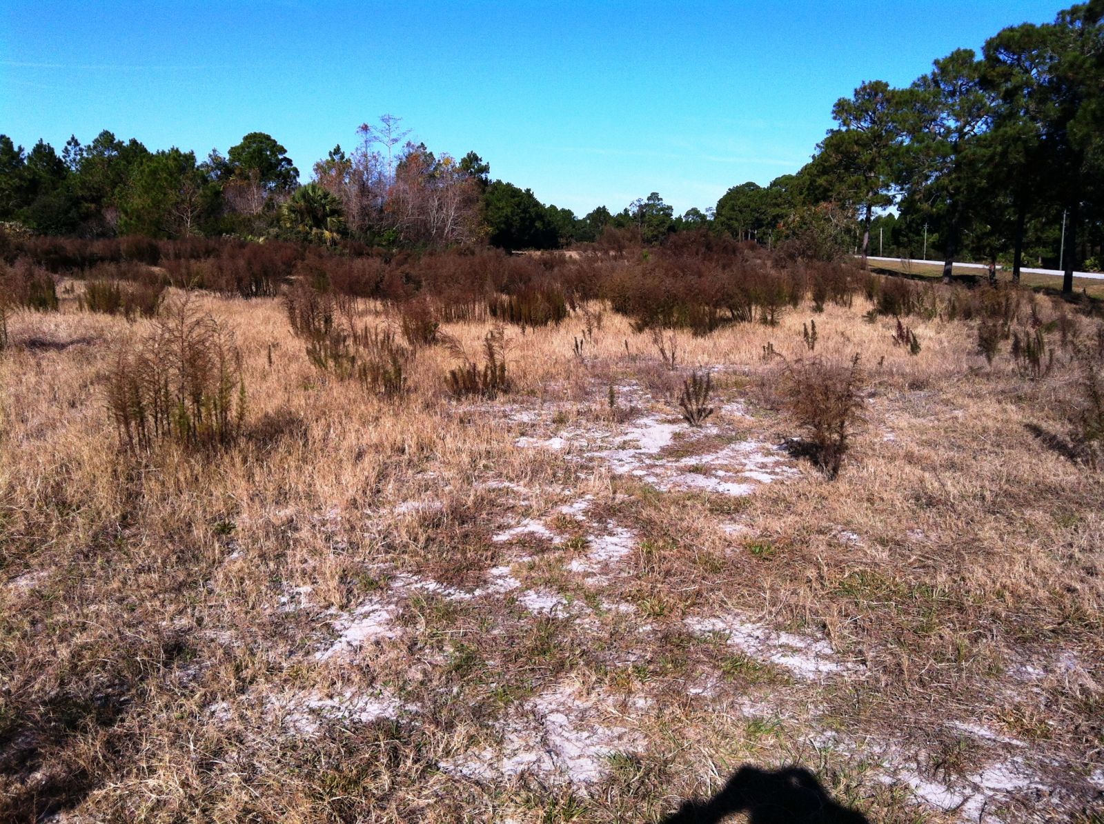 Matanzas Golf Course 10th hole - 2014